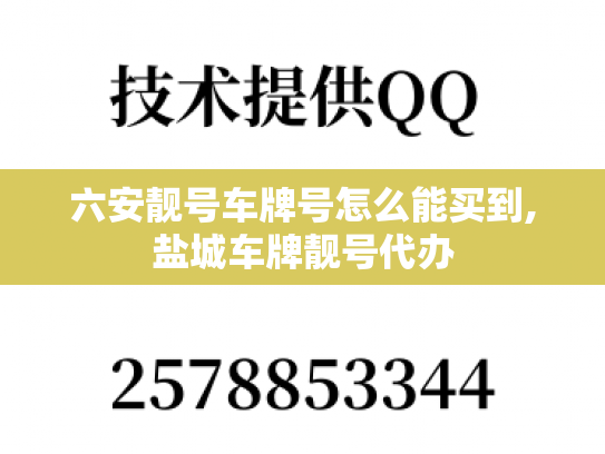 六安靓号车牌号怎么能买到,盐城车牌靓号代办