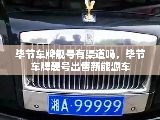 毕节车牌靓号有渠道吗，毕节车牌靓号出售新能源车-第3张图片-七号汽车选号