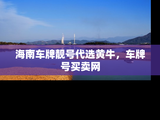 海南车牌靓号代选黄牛，车牌号买卖网