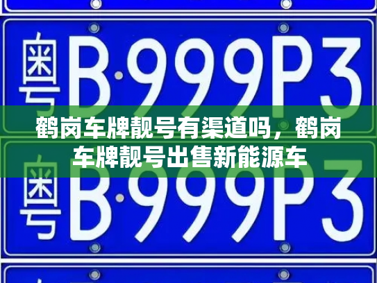 鹤岗车牌靓号有渠道吗，鹤岗车牌靓号出售新能源车-第2张图片-七号汽车选号