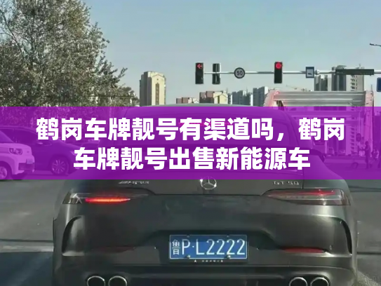 鹤岗车牌靓号有渠道吗，鹤岗车牌靓号出售新能源车-第3张图片-七号汽车选号