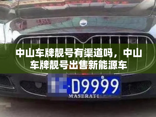 中山车牌靓号有渠道吗,中山车牌靓号出售新能源车-第2张图片-七号汽车选号 中山车牌靓号有渠道吗,中山车牌靓号出售新能源车-第2张图片-七号汽车选号
