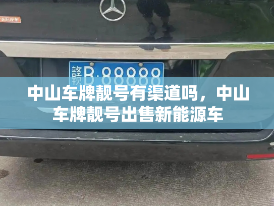 中山车牌靓号有渠道吗,中山车牌靓号出售新能源车-第3张图片-七号汽车选号 中山车牌靓号有渠道吗,中山车牌靓号出售新能源车-第3张图片-七号汽车选号