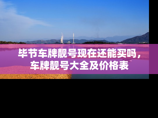毕节车牌靓号现在还能买吗，车牌靓号大全及价格表