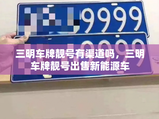 三明车牌靓号有渠道吗，三明车牌靓号出售新能源车-第3张图片-七号汽车选号