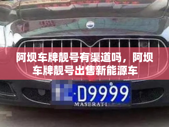 阿坝车牌靓号有渠道吗，阿坝车牌靓号出售新能源车-第2张图片-七号汽车选号