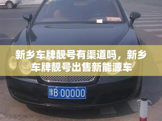 新乡车牌靓号有渠道吗，新乡车牌靓号出售新能源车-第2张图片-七号汽车选号