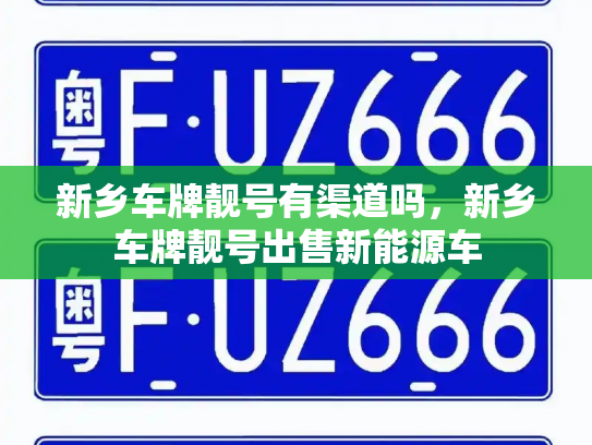 新乡车牌靓号有渠道吗，新乡车牌靓号出售新能源车-第3张图片-七号汽车选号