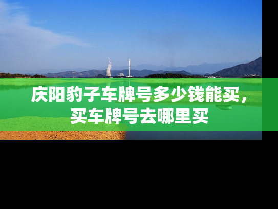 庆阳豹子车牌号多少钱能买，买车牌号去哪里买