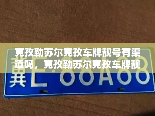 克孜勒苏尔克孜车牌靓号有渠道吗，克孜勒苏尔克孜车牌靓号出售新能源车-第3张图片-七号汽车选号