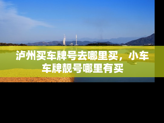 泸州买车牌号去哪里买，小车车牌靓号哪里有买