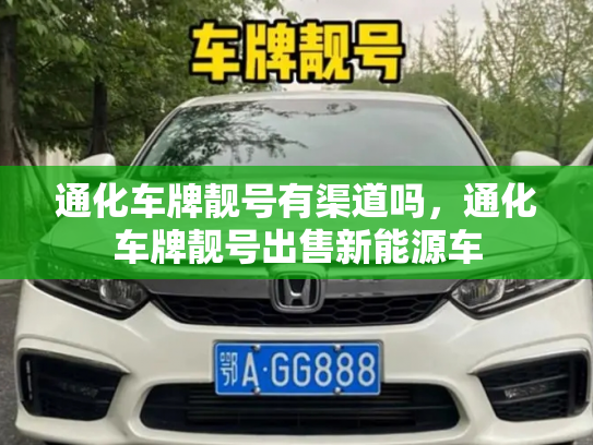 通化车牌靓号有渠道吗,通化车牌靓号出售新能源车-第2张图片-七号汽车选号 通化车牌靓号有渠道吗,通化车牌靓号出售新能源车-第2张图片-七号汽车选号