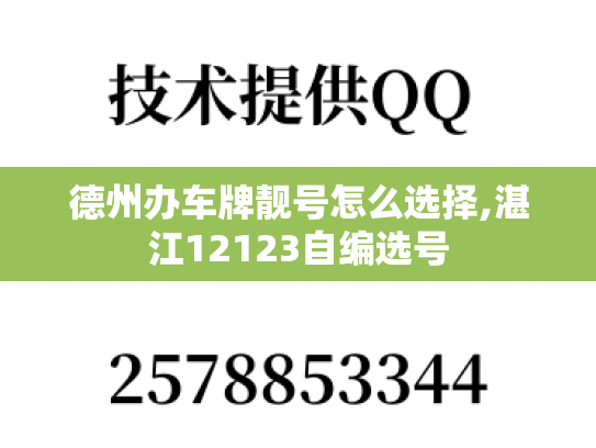 德州办车牌靓号怎么选择,湛江12123自编选号