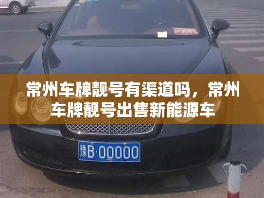 常州车牌靓号有渠道吗,常州车牌靓号出售新能源车-第2张图片-七号汽车选号 常州车牌靓号有渠道吗,常州车牌靓号出售新能源车-第2张图片-七号汽车选号