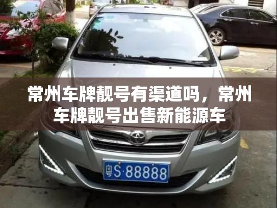 常州车牌靓号有渠道吗,常州车牌靓号出售新能源车-第3张图片-七号汽车选号 常州车牌靓号有渠道吗,常州车牌靓号出售新能源车-第3张图片-七号汽车选号