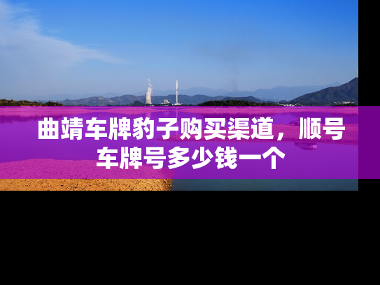 曲靖车牌豹子购买渠道，顺号车牌号多少钱一个