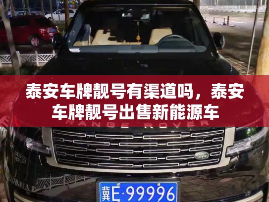 泰安车牌靓号有渠道吗,泰安车牌靓号出售新能源车-第2张图片-七号汽车选号 泰安车牌靓号有渠道吗,泰安车牌靓号出售新能源车-第2张图片-七号汽车选号