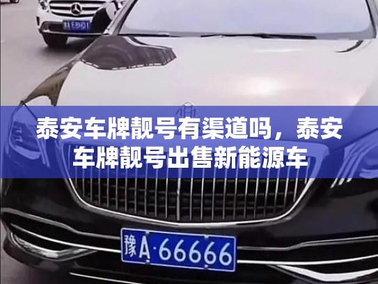 泰安车牌靓号有渠道吗,泰安车牌靓号出售新能源车-第3张图片-七号汽车选号 泰安车牌靓号有渠道吗,泰安车牌靓号出售新能源车-第3张图片-七号汽车选号