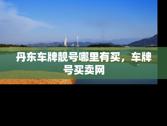 丹东车牌靓号哪里有买，车牌号买卖网