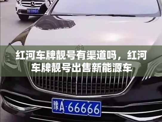 红河车牌靓号有渠道吗,红河车牌靓号出售新能源车-第2张图片-七号汽车选号 红河车牌靓号有渠道吗,红河车牌靓号出售新能源车-第2张图片-七号汽车选号