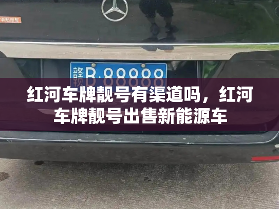 红河车牌靓号有渠道吗,红河车牌靓号出售新能源车-第3张图片-七号汽车选号 红河车牌靓号有渠道吗,红河车牌靓号出售新能源车-第3张图片-七号汽车选号