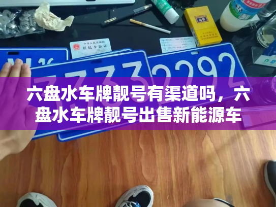 六盘水车牌靓号有渠道吗,六盘水车牌靓号出售新能源车-第2张图片-七号汽车选号 六盘水车牌靓号有渠道吗,六盘水车牌靓号出售新能源车-第2张图片-七号汽车选号