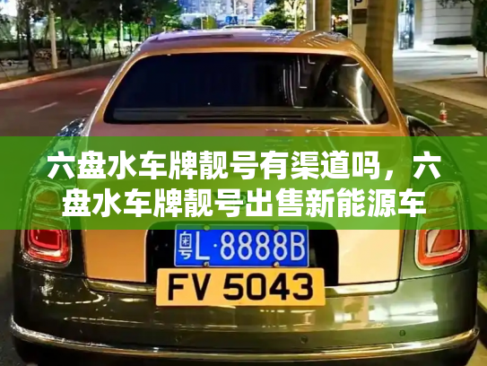六盘水车牌靓号有渠道吗,六盘水车牌靓号出售新能源车-第3张图片-七号汽车选号 六盘水车牌靓号有渠道吗,六盘水车牌靓号出售新能源车-第3张图片-七号汽车选号
