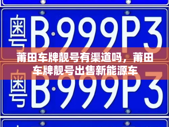 莆田车牌靓号有渠道吗,莆田车牌靓号出售新能源车-第2张图片-七号汽车选号 莆田车牌靓号有渠道吗,莆田车牌靓号出售新能源车-第2张图片-七号汽车选号