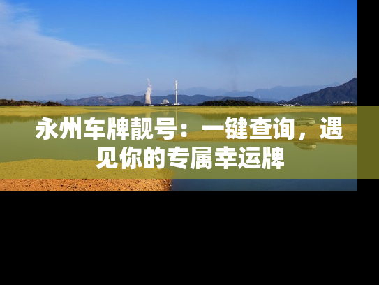 永州车牌靓号：一键查询，遇见你的专属幸运牌