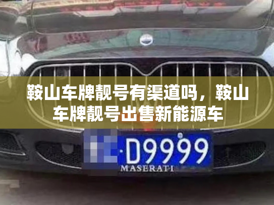 鞍山车牌靓号有渠道吗,鞍山车牌靓号出售新能源车-第2张图片-七号汽车选号 鞍山车牌靓号有渠道吗,鞍山车牌靓号出售新能源车-第2张图片-七号汽车选号