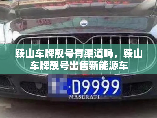 鞍山车牌靓号有渠道吗,鞍山车牌靓号出售新能源车-第3张图片-七号汽车选号 鞍山车牌靓号有渠道吗,鞍山车牌靓号出售新能源车-第3张图片-七号汽车选号