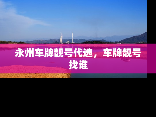 永州车牌靓号代选，车牌靓号找谁