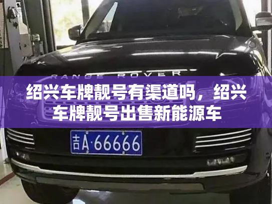 绍兴车牌靓号有渠道吗,绍兴车牌靓号出售新能源车-第2张图片-七号汽车选号 绍兴车牌靓号有渠道吗,绍兴车牌靓号出售新能源车-第2张图片-七号汽车选号