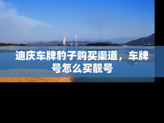 迪庆车牌豹子购买渠道，车牌号怎么买靓号