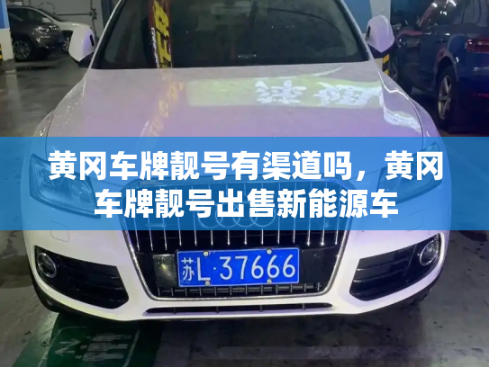 黄冈车牌靓号有渠道吗,黄冈车牌靓号出售新能源车-第2张图片-七号汽车选号 黄冈车牌靓号有渠道吗,黄冈车牌靓号出售新能源车-第2张图片-七号汽车选号