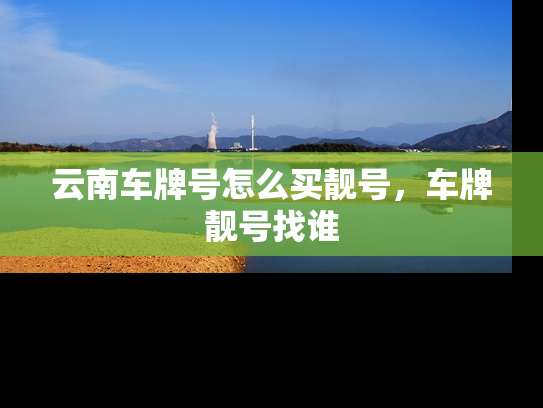 云南车牌号怎么买靓号，车牌靓号找谁