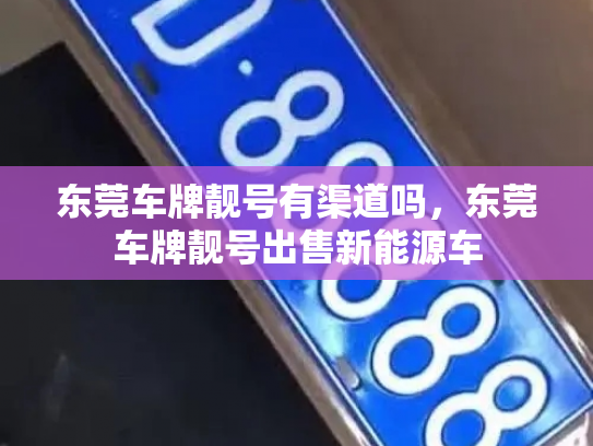 东莞车牌靓号有渠道吗,东莞车牌靓号出售新能源车-第2张图片-七号汽车选号 东莞车牌靓号有渠道吗,东莞车牌靓号出售新能源车-第2张图片-七号汽车选号