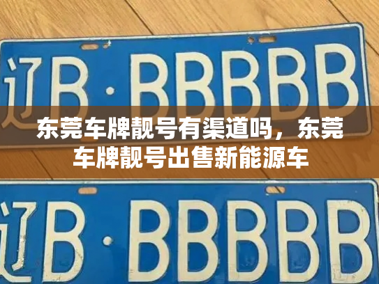 东莞车牌靓号有渠道吗,东莞车牌靓号出售新能源车-第3张图片-七号汽车选号 东莞车牌靓号有渠道吗,东莞车牌靓号出售新能源车-第3张图片-七号汽车选号