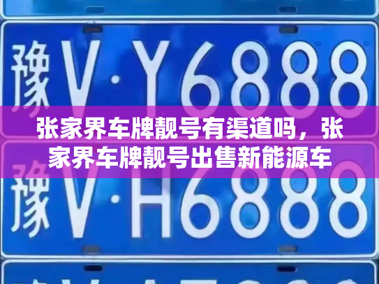 张家界车牌靓号有渠道吗,张家界车牌靓号出售新能源车-第2张图片-七号汽车选号 张家界车牌靓号有渠道吗,张家界车牌靓号出售新能源车-第2张图片-七号汽车选号