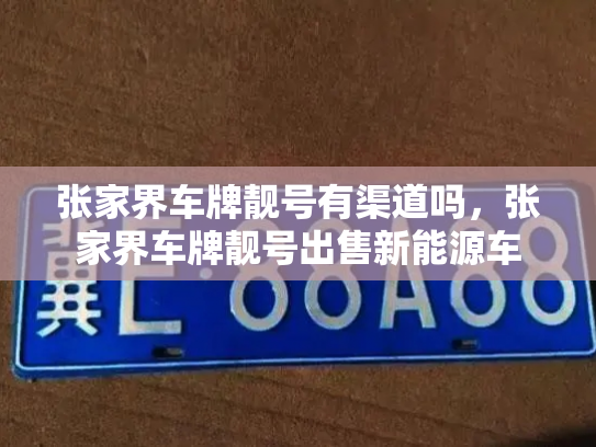 张家界车牌靓号有渠道吗,张家界车牌靓号出售新能源车-第3张图片-七号汽车选号 张家界车牌靓号有渠道吗,张家界车牌靓号出售新能源车-第3张图片-七号汽车选号