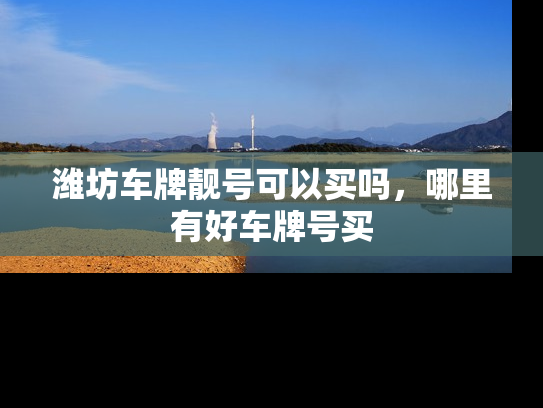 潍坊车牌靓号可以买吗，哪里有好车牌号买