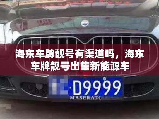 海东车牌靓号有渠道吗，海东车牌靓号出售新能源车-第2张图片-七号汽车选号