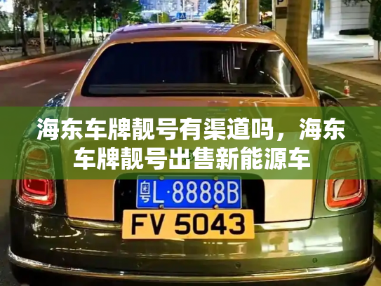海东车牌靓号有渠道吗，海东车牌靓号出售新能源车-第3张图片-七号汽车选号