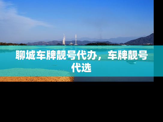聊城车牌靓号代办，车牌靓号代选-第1张图片-七号汽车选号