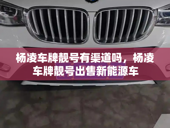 杨凌车牌靓号有渠道吗，杨凌车牌靓号出售新能源车-第2张图片-七号汽车选号