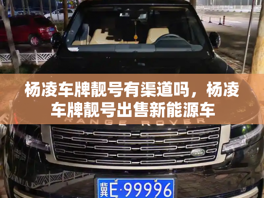 杨凌车牌靓号有渠道吗，杨凌车牌靓号出售新能源车-第3张图片-七号汽车选号