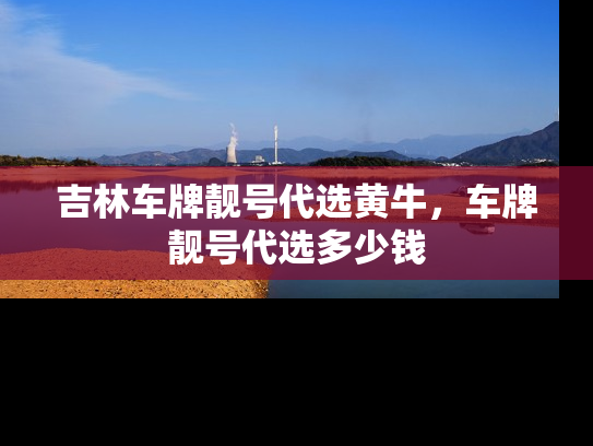 吉林车牌靓号代选黄牛，车牌靓号代选多少钱