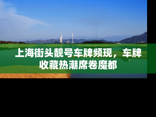 上海街头靓号车牌频现，车牌收藏热潮席卷魔都