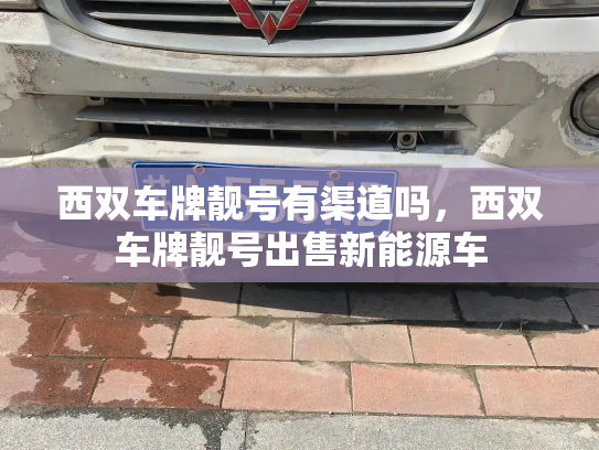 西双车牌靓号有渠道吗,西双车牌靓号出售新能源车-第2张图片-七号汽车选号 西双车牌靓号有渠道吗,西双车牌靓号出售新能源车-第2张图片-七号汽车选号