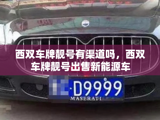 西双车牌靓号有渠道吗,西双车牌靓号出售新能源车-第3张图片-七号汽车选号 西双车牌靓号有渠道吗,西双车牌靓号出售新能源车-第3张图片-七号汽车选号